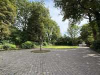 66 South Field - Victorian Home