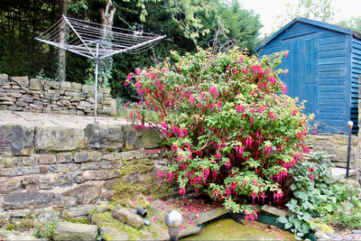 A four bedroom house with games room in Yorkshire